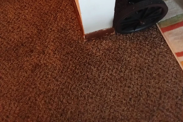 Carpet Cleaning