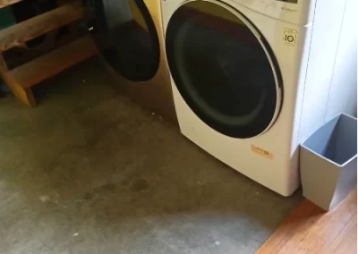 Home Cleaner