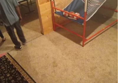 Professional Cleaning Services