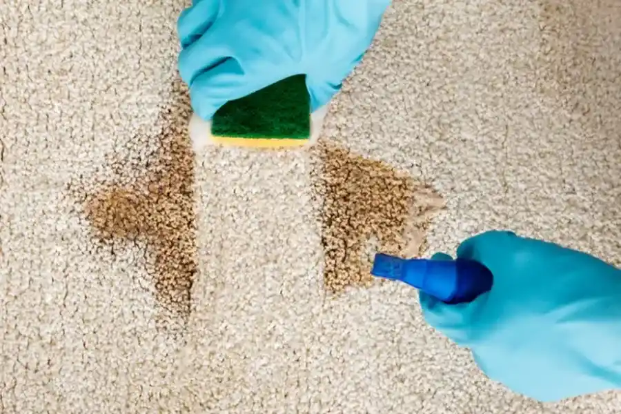 Tips For Maintaining Clean Carpets Between Professional Sessions Bloomington, IN Tips For Maintaining Clean Carpets Between Professional Sessions Bloomington, IN